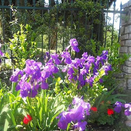 Апарт-отель Residence Gardasee
